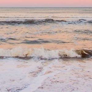 Meet your Posher, Lea